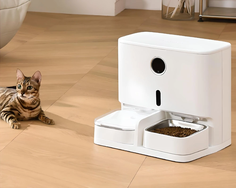 automatic pet feeder for multiple cats
