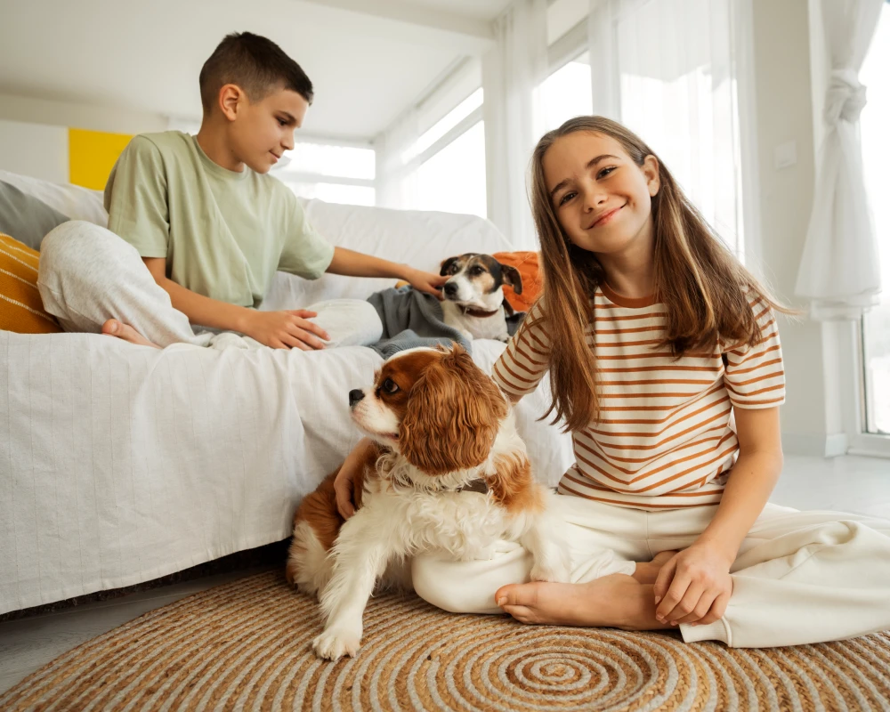 the best automatic pet feeder